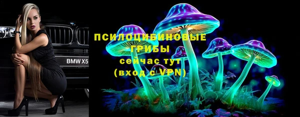 бошки Каменск-Шахтинский