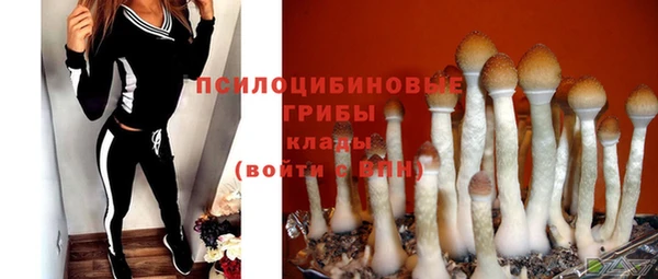 метамфетамин Каменка