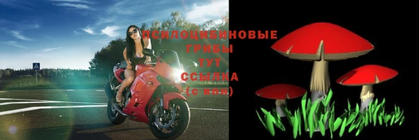 бошки Каменск-Шахтинский