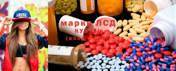 PSILOCYBIN Инсар