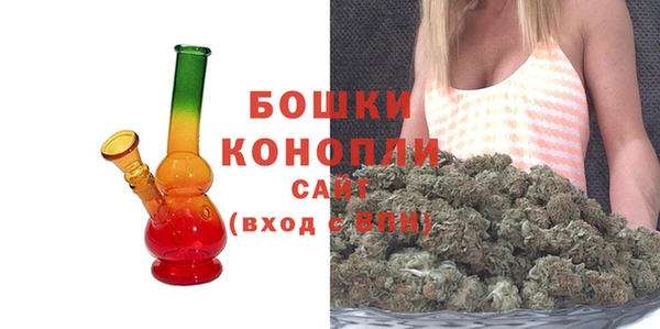 PSILOCYBIN Инсар